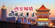 日韩精品操逼喷水中国陕西-西安城墙旅游风景区